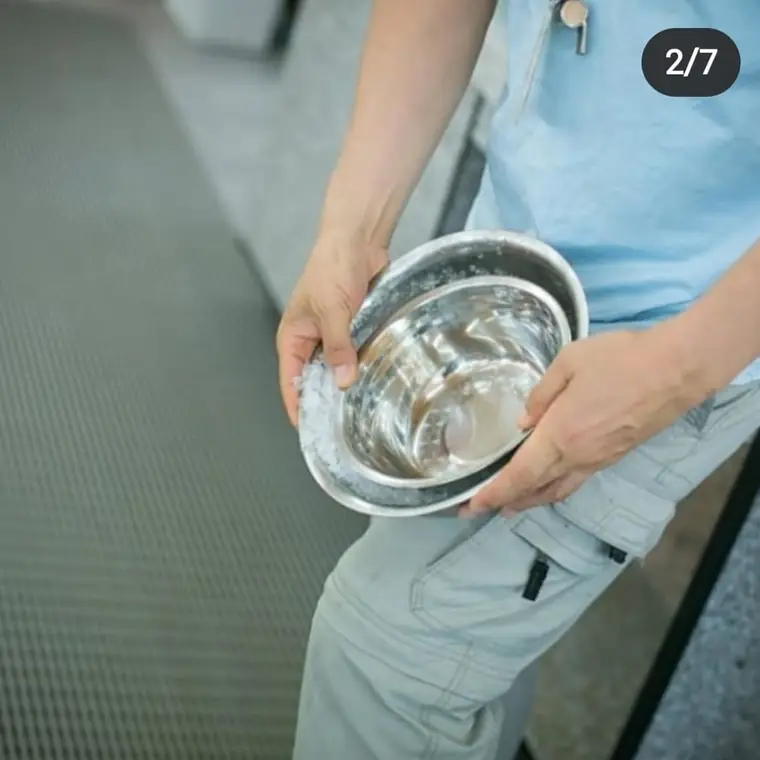 신우목장 갤러리