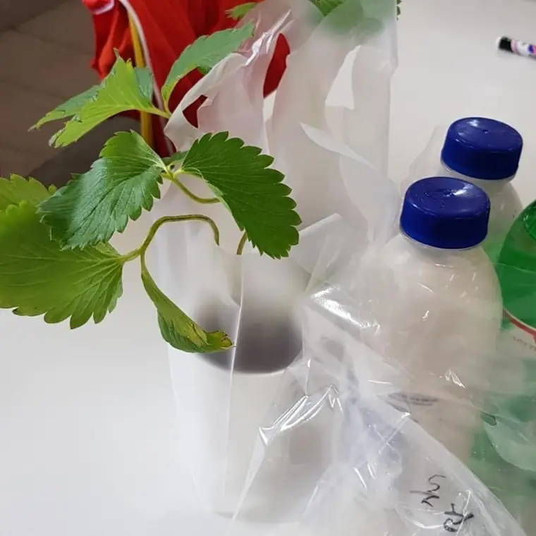 신우목장 갤러리