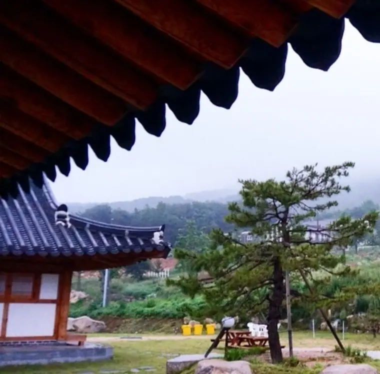 신우목장 갤러리