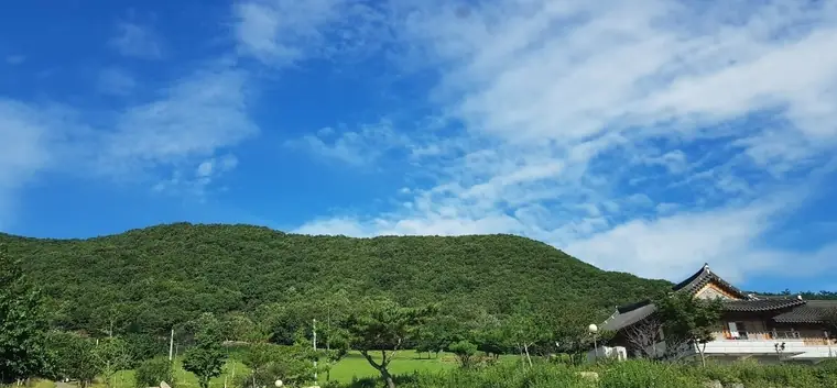 신우목장 갤러리