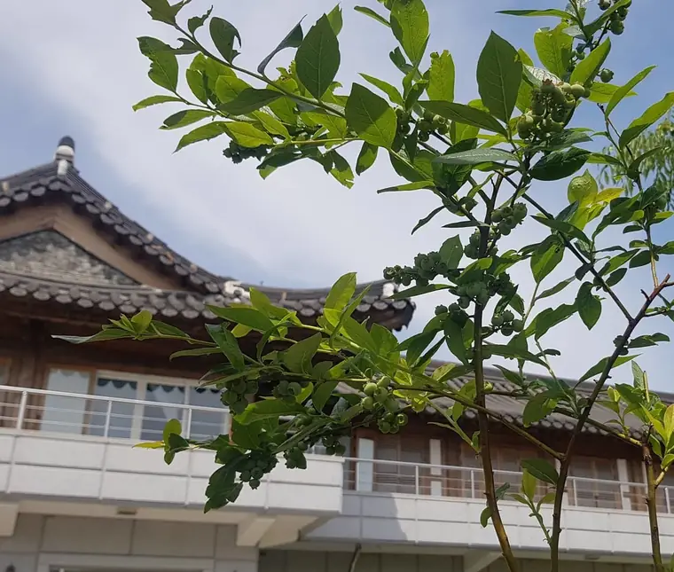 신우목장 갤러리