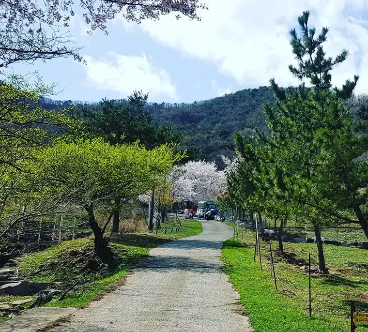 신우목장 갤러리